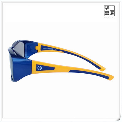 Polarized 3D Glasses – Flicker-Free Circular Polarized Protection